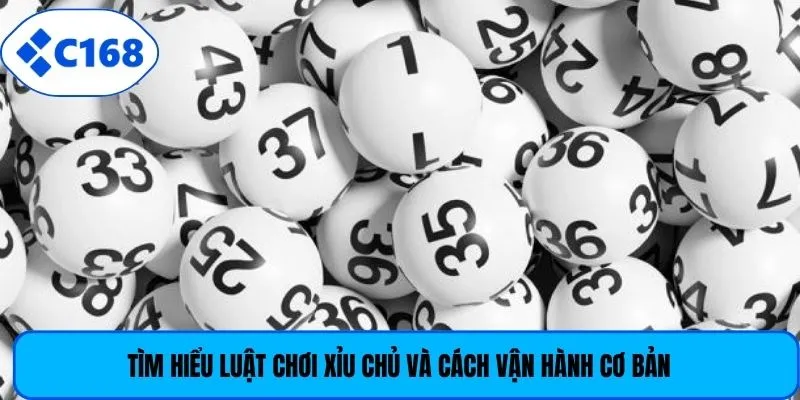 Tìm hiểu luật chơi xỉu chủ và cách vận hành cơ bản